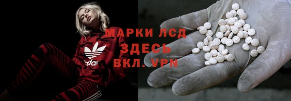 индика Алзамай